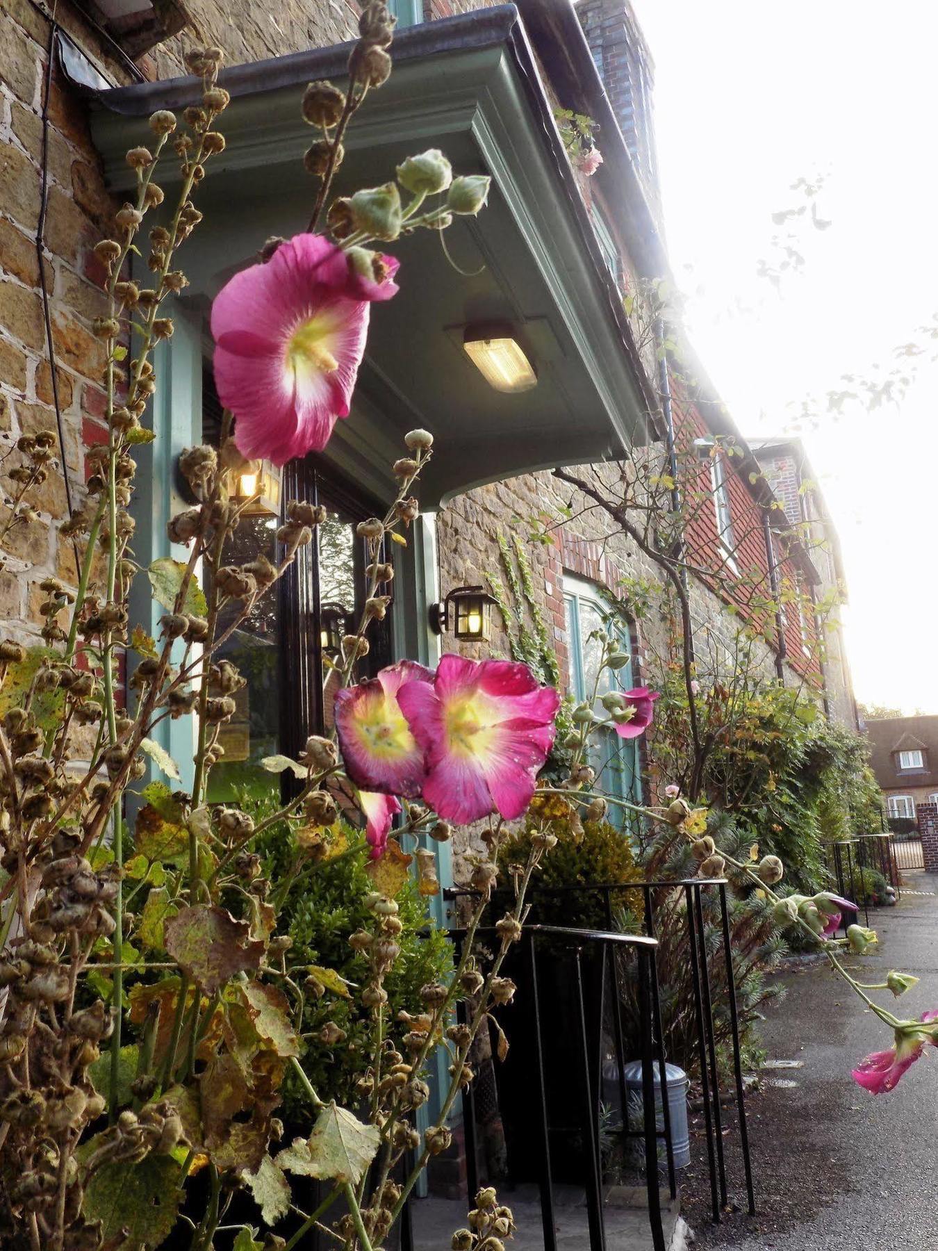 The Angel B&B Chichester Dış mekan fotoğraf